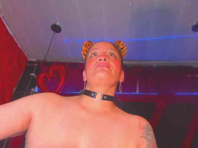 taylorhardcor webcam