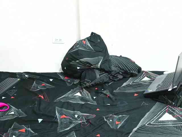 bils2203 webcam