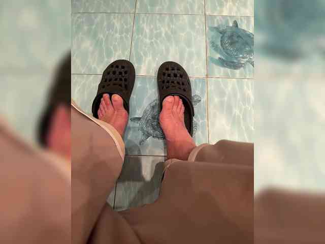 killer-whale killer-whale