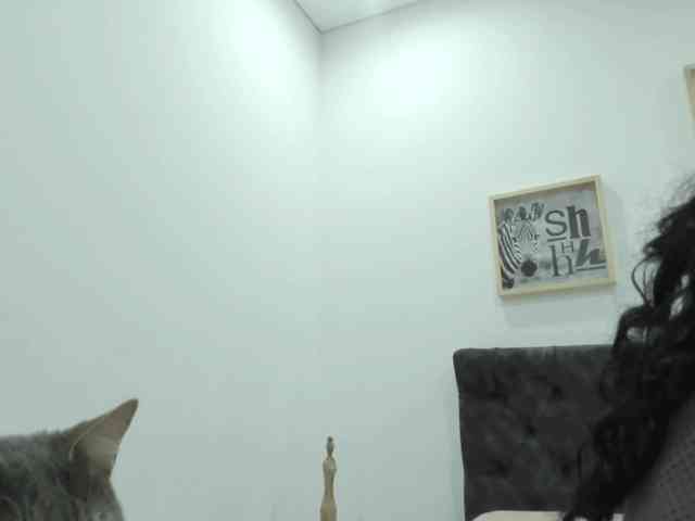 latinvalery latinvalery