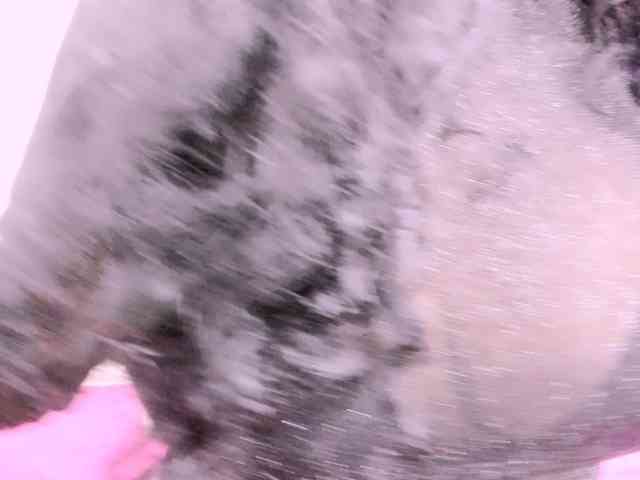 latinvalery latinvalery