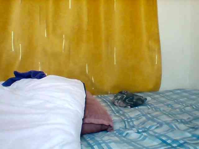 Queenafrica webcam