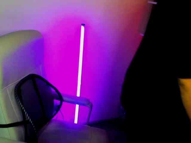 perfectDIANA webcam