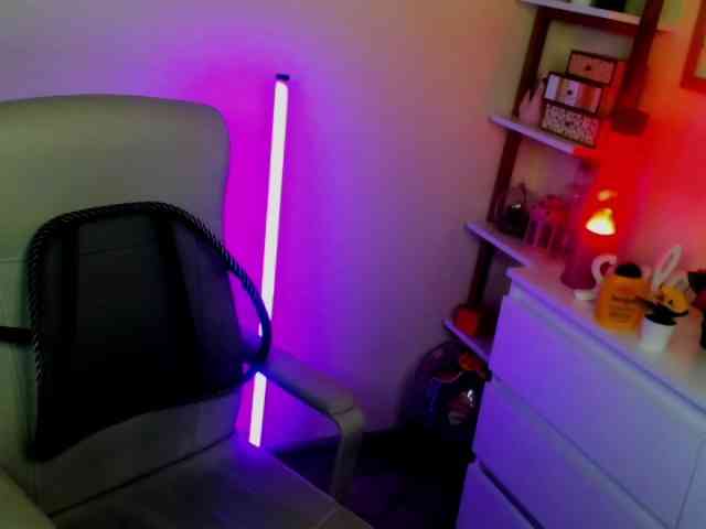 perfectDIANA webcam