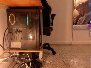 amina-west Porn Show