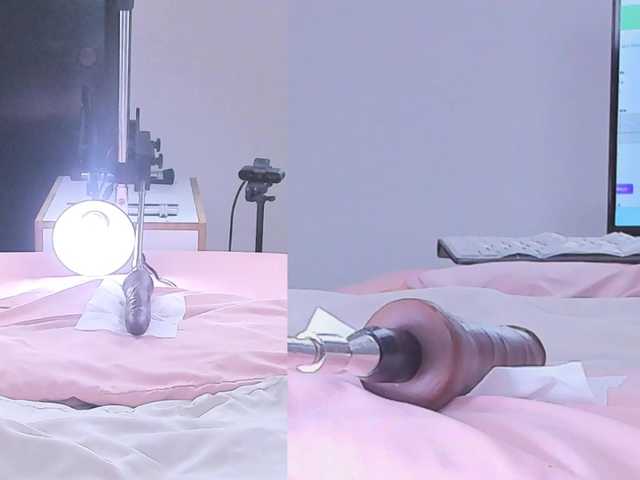 Alaska-Hill's BongaCams show and profile