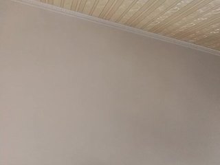 Elizabethh Porn Show