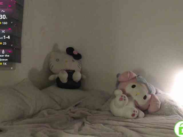 meko-hzu webcam