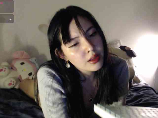 meko-hzu webcam