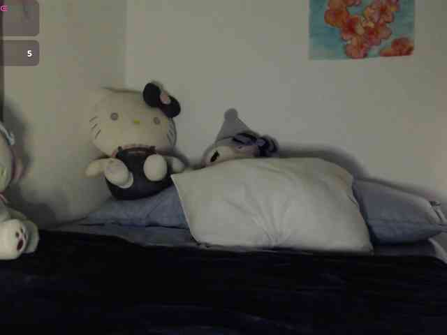meko-hzu webcam