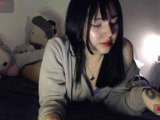 meko-hzu webcam