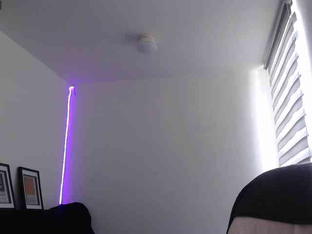 meko-hzu's webcam live show