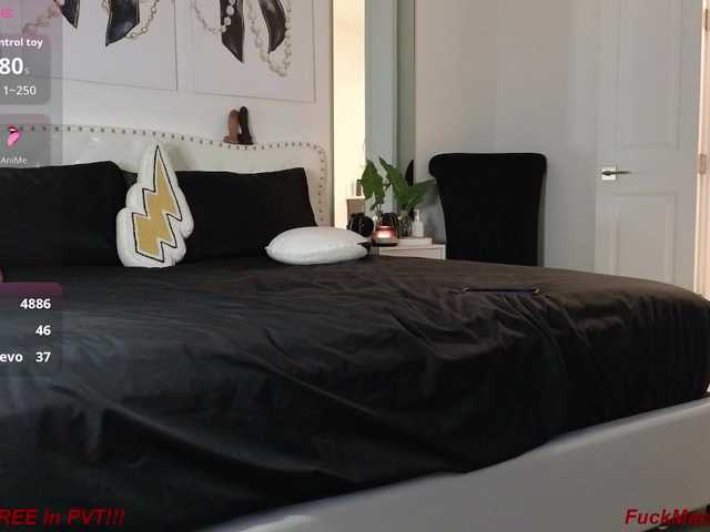 Violet888's BongaCams show and profile