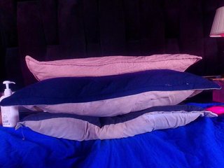 shels-loreds Porn Show