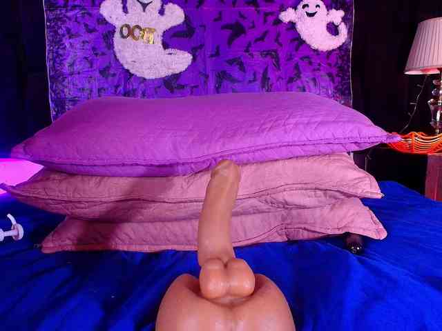shels-loreds webcam