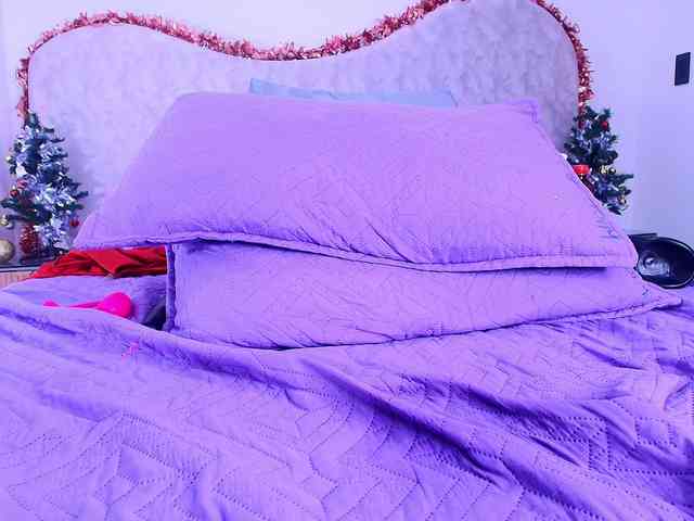 shels-loreds shels-loreds