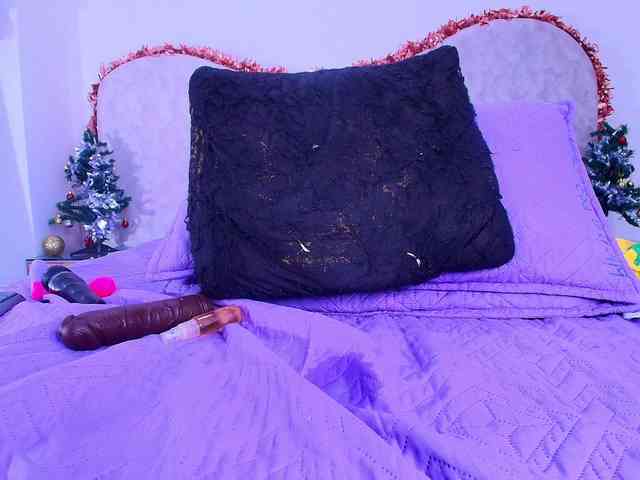 shels-loreds shels-loreds