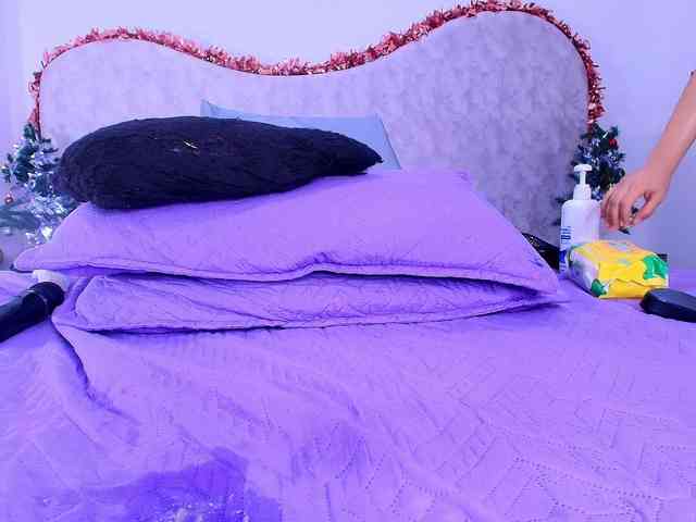 shels-loreds shels-loreds