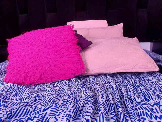 shels-loreds shels-loreds