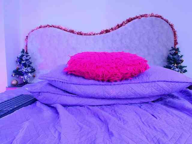 shels-loreds shels-loreds