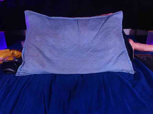 shels-loreds webcam