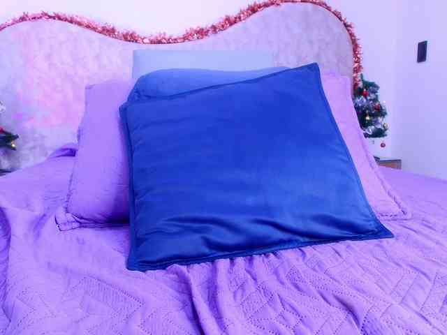 shels-loreds shels-loreds