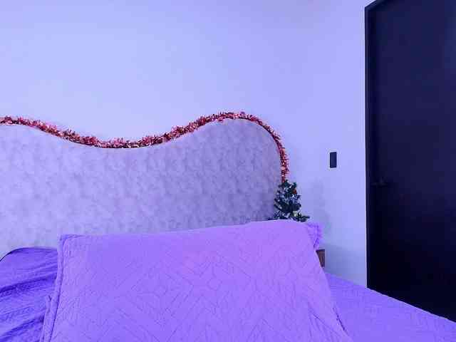 shels-loreds shels-loreds