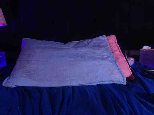 shels-loreds webcam