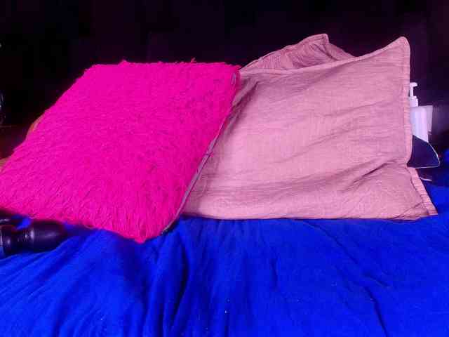 shels-loreds shels-loreds