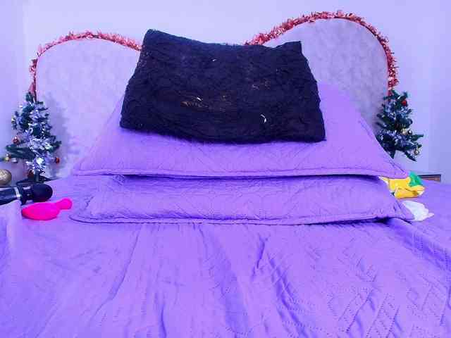 shels-loreds shels-loreds