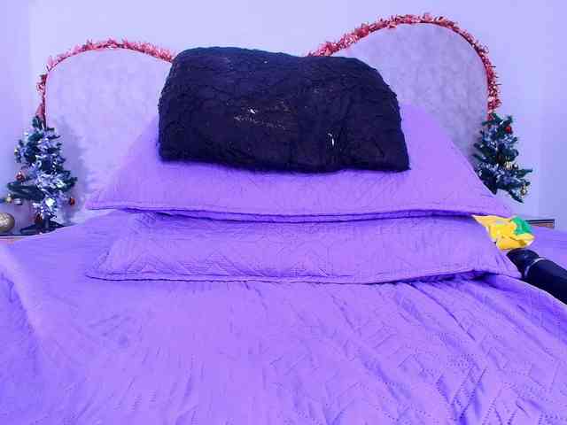 shels-loreds shels-loreds