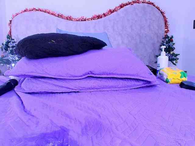 shels-loreds shels-loreds