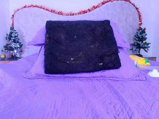 shels-loreds shels-loreds