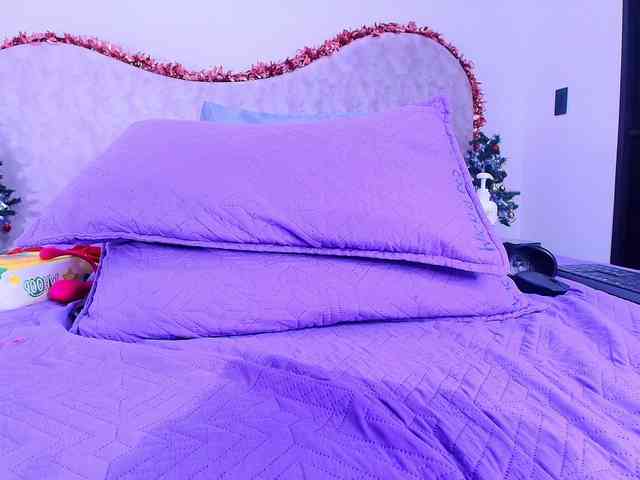 shels-loreds shels-loreds