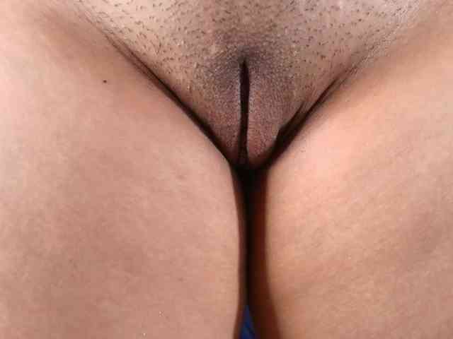 shels-loreds webcam
