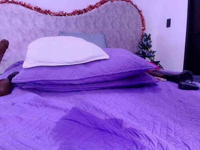 shels-loreds shels-loreds