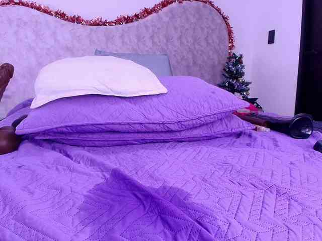 shels-loreds shels-loreds