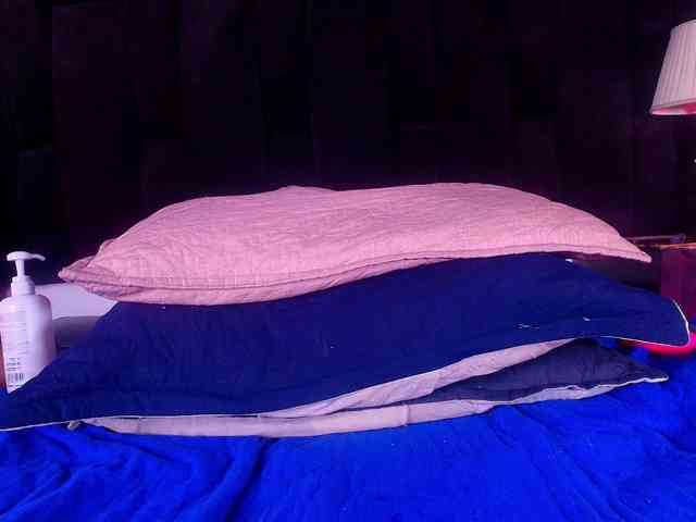 shels-loreds shels-loreds