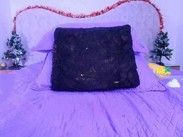 shels-loreds shels-loreds