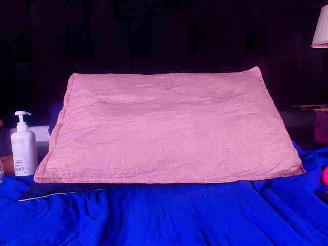 free live cam online Shels-loreds