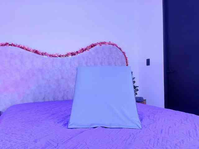 shels-loreds shels-loreds