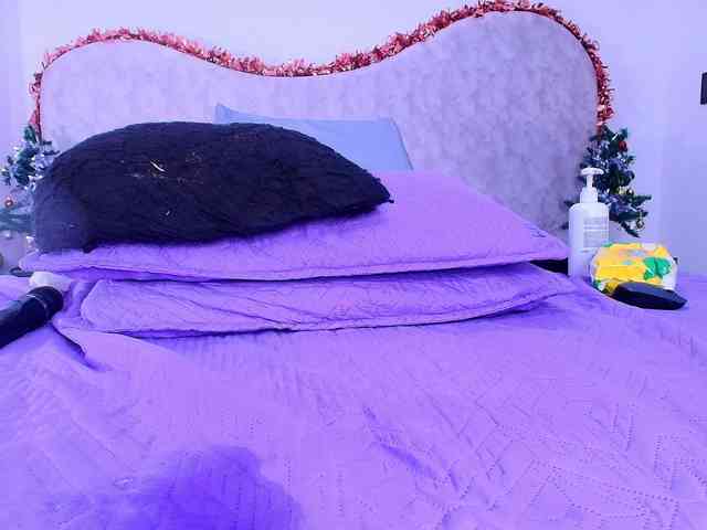 shels-loreds shels-loreds