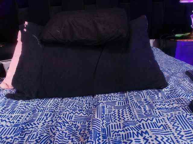 shels-loreds webcam