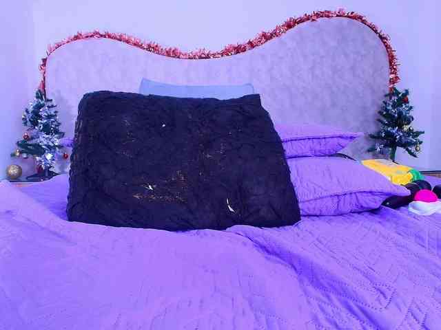 shels-loreds shels-loreds