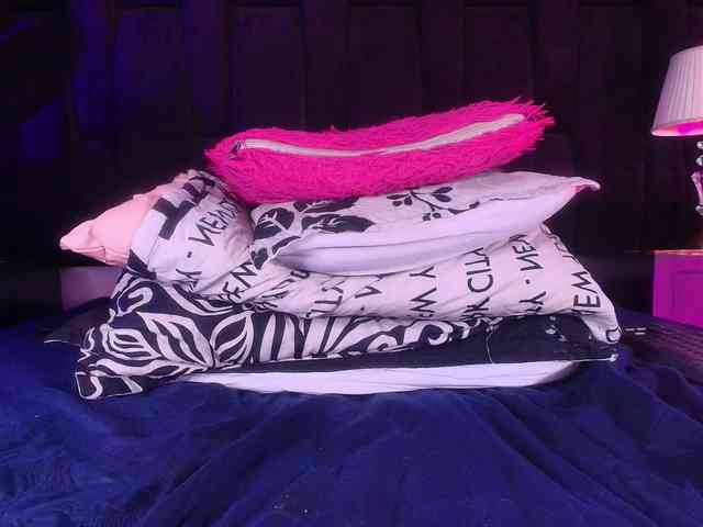 shels-loreds webcam