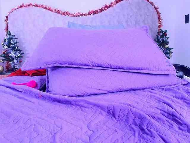 shels-loreds shels-loreds