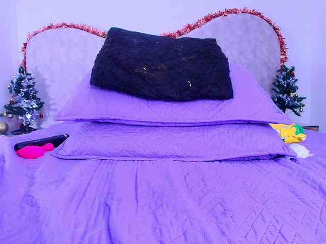 shels-loreds shels-loreds