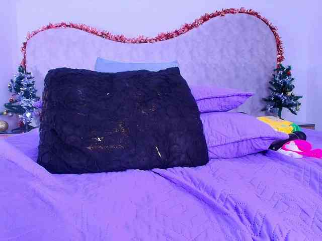 shels-loreds shels-loreds