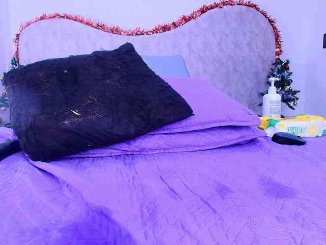 shels-loreds shels-loreds