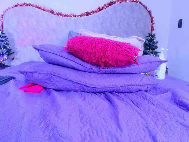 shels-loreds shels-loreds